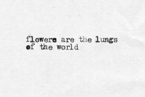 flowere s are the lungs of the world