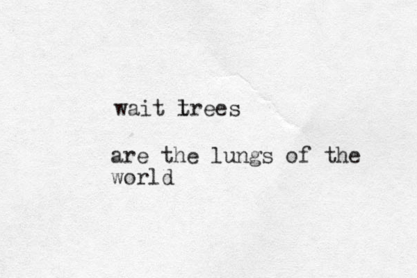 wait l trees are the lungs of the world