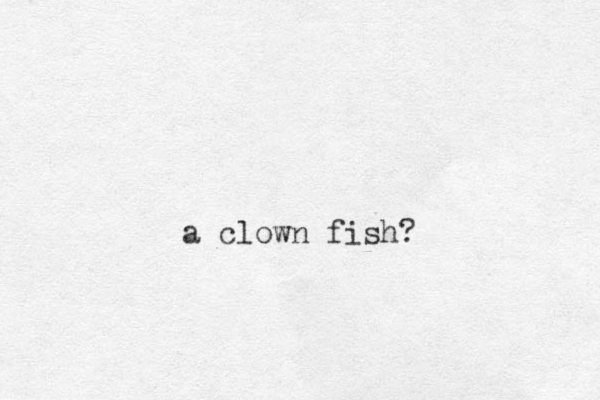a clown fish?