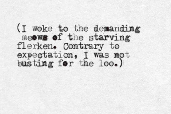 (I woke to the demanding meows of the starving flerken. Contrary to expectation, I was not busting for the loo.) 