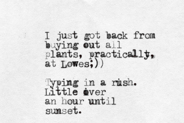 I just got back from buying out all plants, practicallt y, at Lowes w ;)) Typing in a ri ush. Little iver o an hour until sunset.
