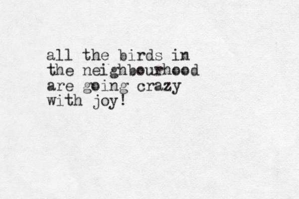all the birds in the neighbourhood are going crazy wit h joy!