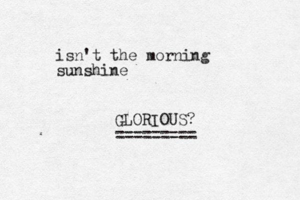 isn't the morning sunshine GLORIOUS? ========= 