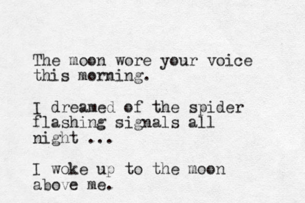The moon wore your voice this morning. I dreamed of the spider flashing signals all night ... I woke up to the moon above me. 