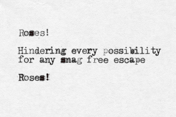 Roses! Hindering every possibility for any snag free escape Roses! 