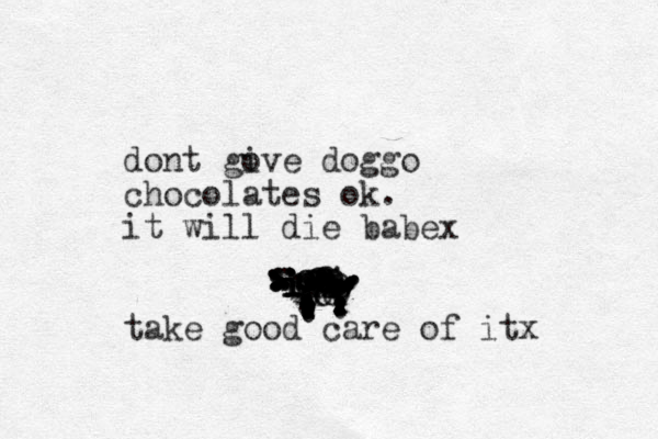 ooooooooooooooooooiioooooooooooookooiiiiiiii........................................................................... dont gove i doggo chocolates ok. it will die babex take good care of itx 