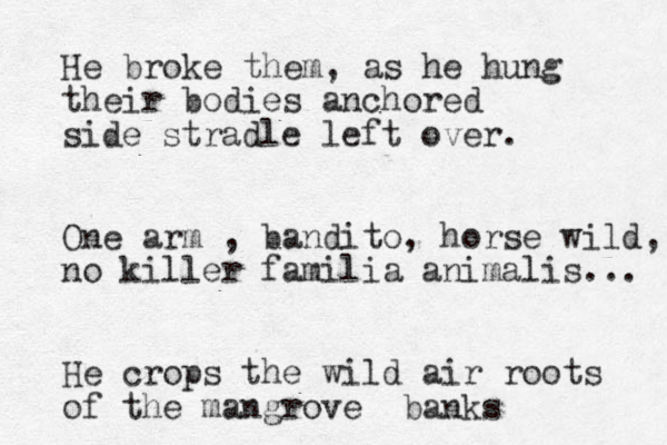 H e broke them, as he hung their bodies anchored side stradle left over. One arm , bandito, horse wild, no killer familia animalis... He crops the wild air roots of the mangrove banks