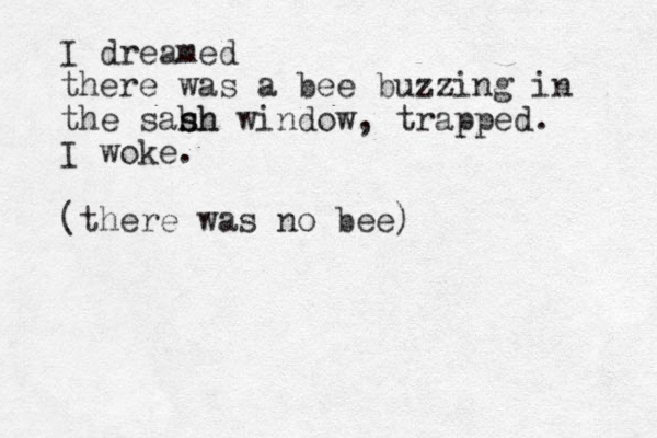 I dreamed there was a bee buzzing in the sah sh sh window, trapped. I woke. (there was no bee) 
