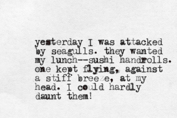 yesterday I was attacked by seagulls. they wanted my lunch--sushi handrolls. one kept flying , against a stiff breeze, at my head. I could hardly daunt them! 