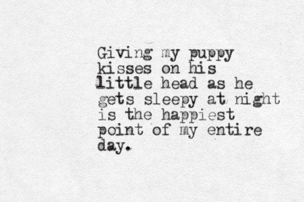 Giving my puppy kisses on his little head as he gets sleepy at night is the happiest point of my entire day.