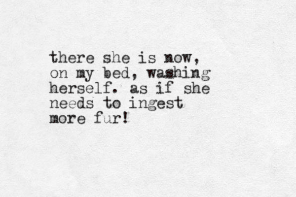 there she is now, on my bed, washing herself. as if she needs to ingest more fur!