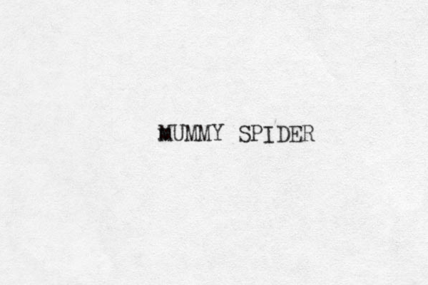m MUMMY SPIDER