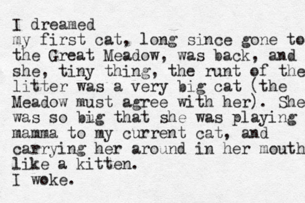 I dreamed my first cat, long since gone to the Great Meadow, was back, and she, tiny thing, the runt of the litter was a very big cat (the Meadow must agree with her). She was so bug i that she was playing mamma to my current cat, and carrying her around in her mouth like a kitten. I woke.