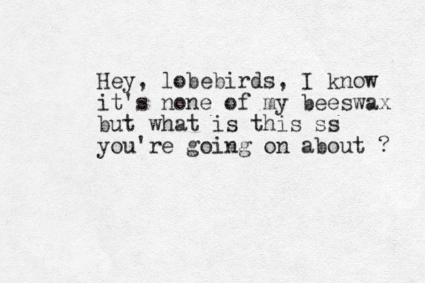 Hey, lobebirds, I know it's none of my beeswax but what is this ss you're going on about ? 