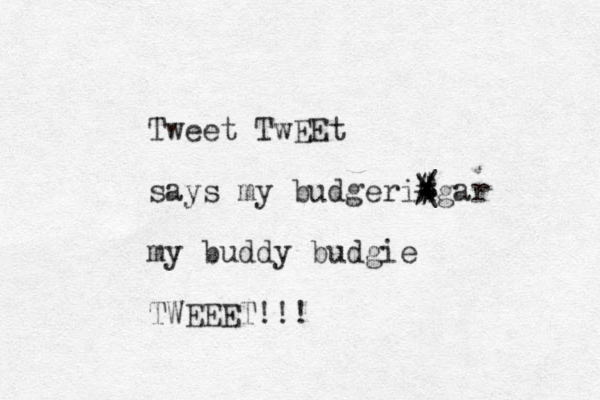 Tweet TwEEt says my budgeringar my buddy budgie TWEEET!!! # + = $ | \ / 