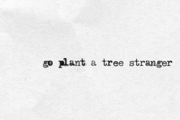 go plant a tree stranger 