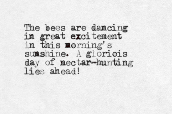 The bees are dancing in great excitement in this morning's sunshine. A gloriois day of nectar-hunting lies ahead! 