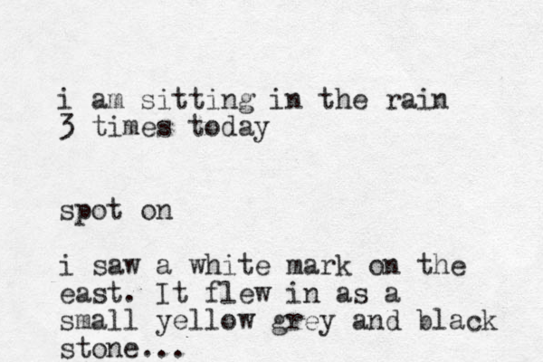 i am sitting in the rain 3 times today spot on i saw a white mark on the east. It flew in as a small yellow grey and black stone...