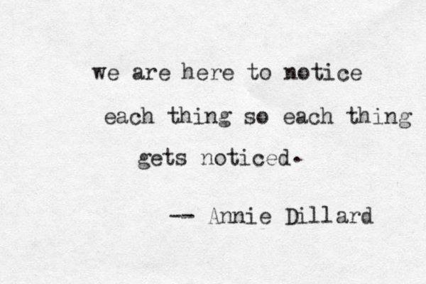 we are here to notice each thing so each thing gets noticed . -- Annie Dillard 