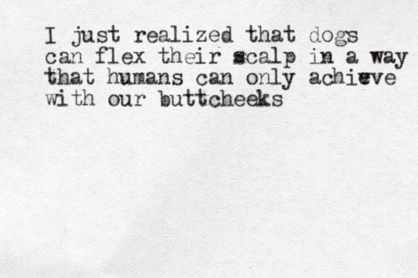 I just realized that dogs can flex their scalp in a way that humans can only achiv eve with our buttcheeks 