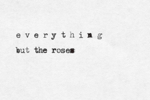 e v e r y t h i n g but the roses