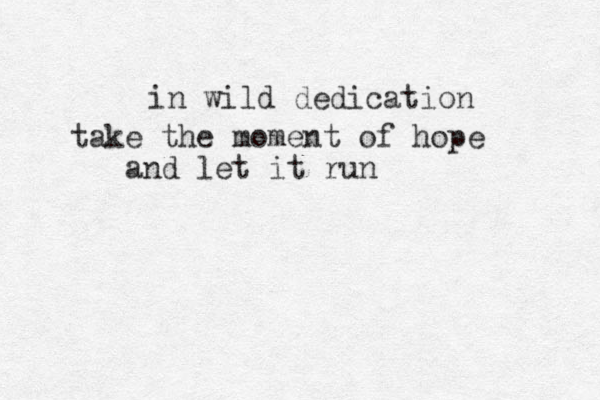 in wild dedication take the moment of hope and let it run 