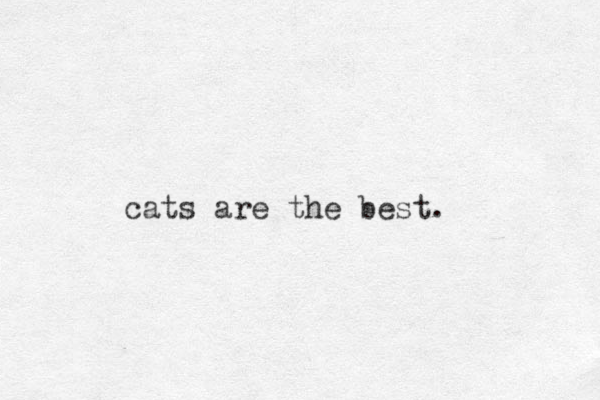 cats are the best.