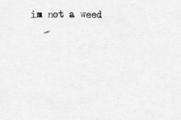 im not a weed