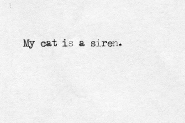 My cat is a siren.