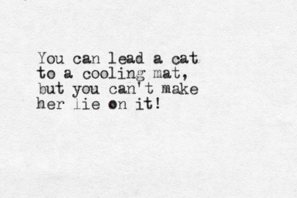 You can lead a cat to a cooling mat, but you can't make her lie on it! 