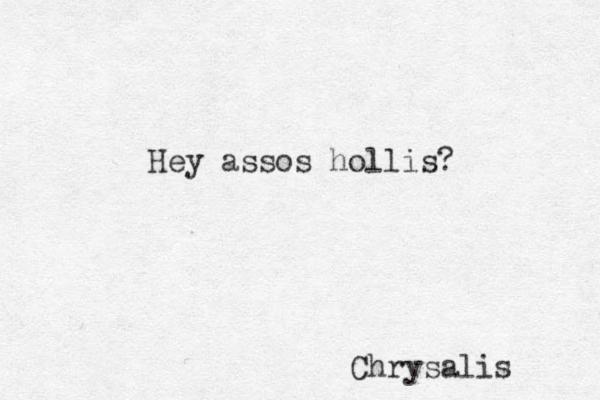 Chrysalis Hey assos hollis?