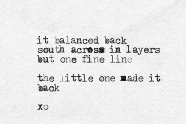 it balanced back south across in layers but one fine line the little one made it back xo