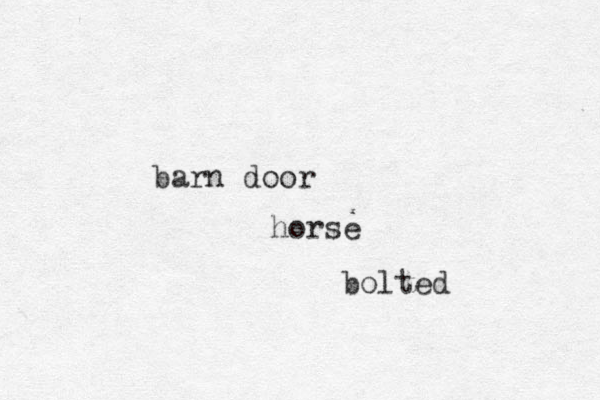 barn door horse bolted 