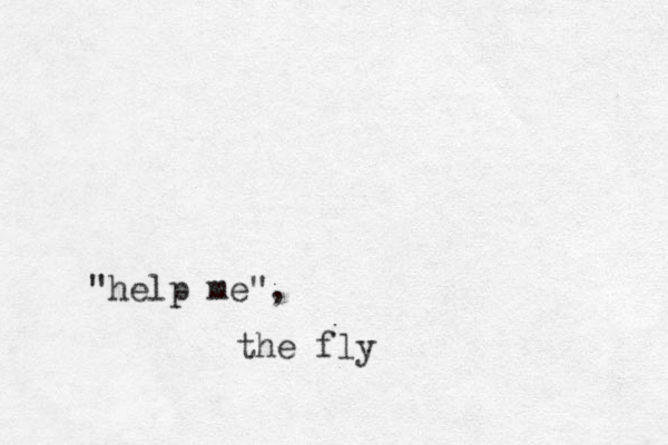 "help me", the fly