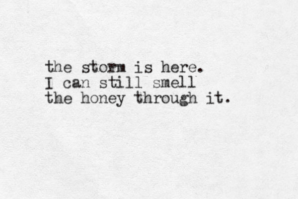 the storm is here. I can still smell the honey through it. 