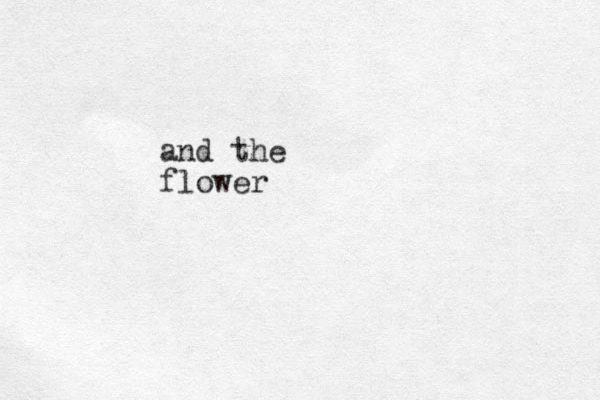 and the flower