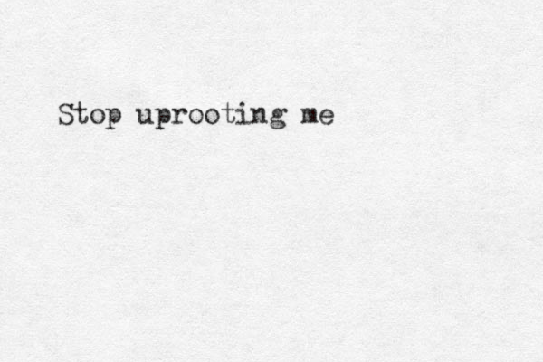 Stop uprooting me