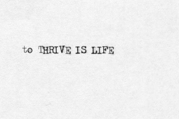 to THRIVE IS LIFE