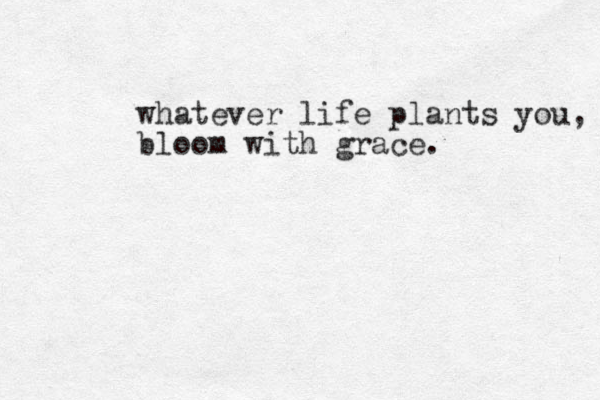 whatever life plants you, bloom with grace. 