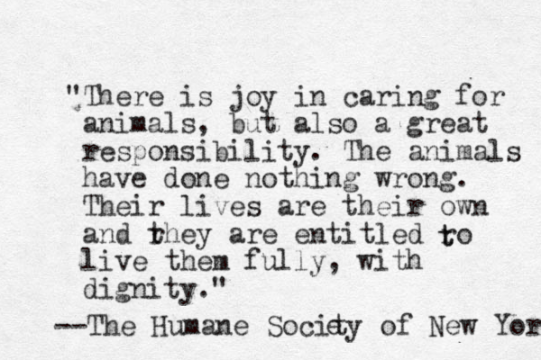 "There is joy in caring for animals, but also a great responsibility. The animals have done nothing wrong. Their lives are their own and rhey are t entitled ro live them fully, with dignity." t t --The Humane Socity e of New York 