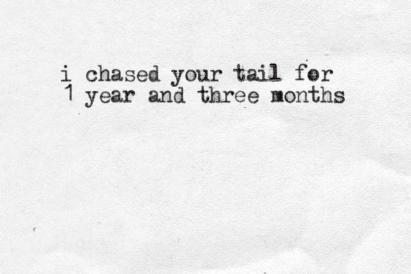 i chased your tail for 1 year and three months 