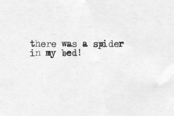there was a spider in my bed!