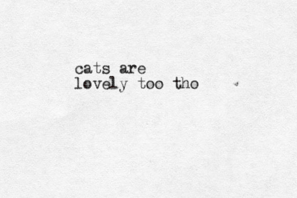 cats are lovely too tho