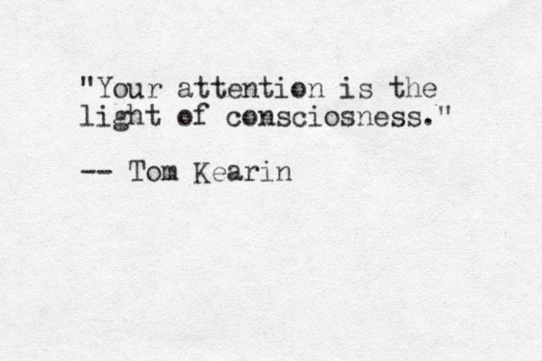 "Your attention is the light of consciosness." -- Tom Kearin