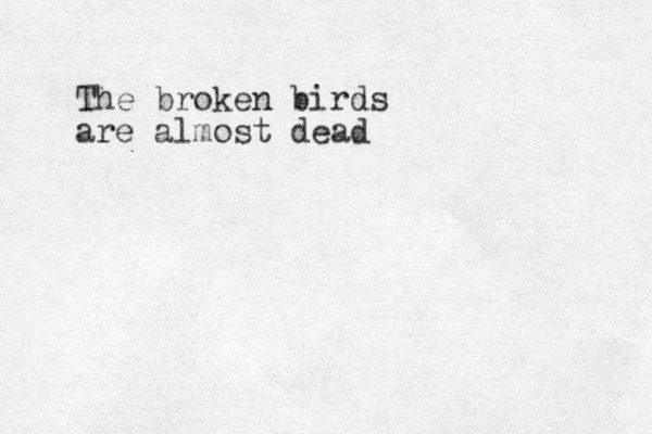 The broken birds are almost dead