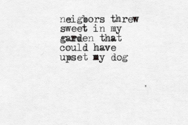 neigbors threw sweet in my garden that could have upset my dog