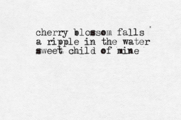 cherry blossom falls a ripple in the water sweet child of mine 