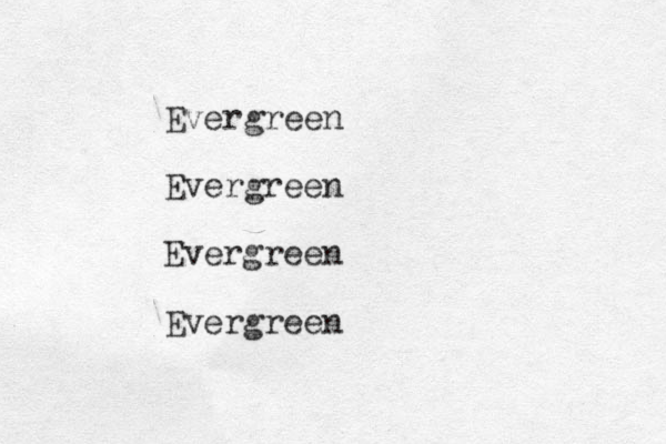 Evergreen Evergreen Evergreen Evergreen