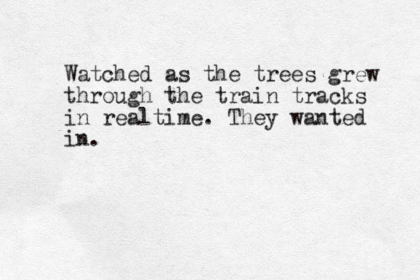 Watched as the trees grew through the train tracks in realtime. They wanted in.