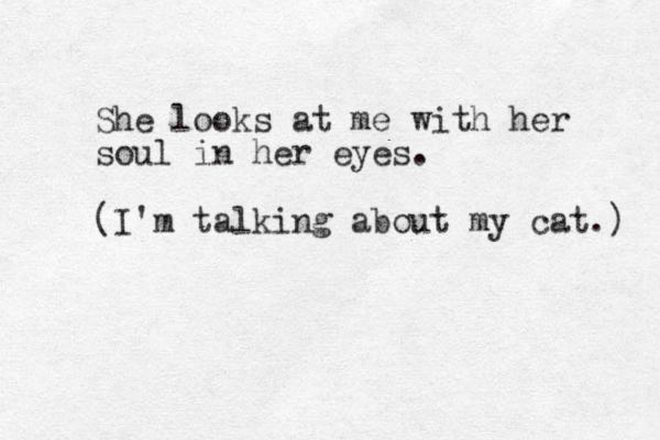 She looks at me with her soul in her eyes. (I'm talking about my cat.) 